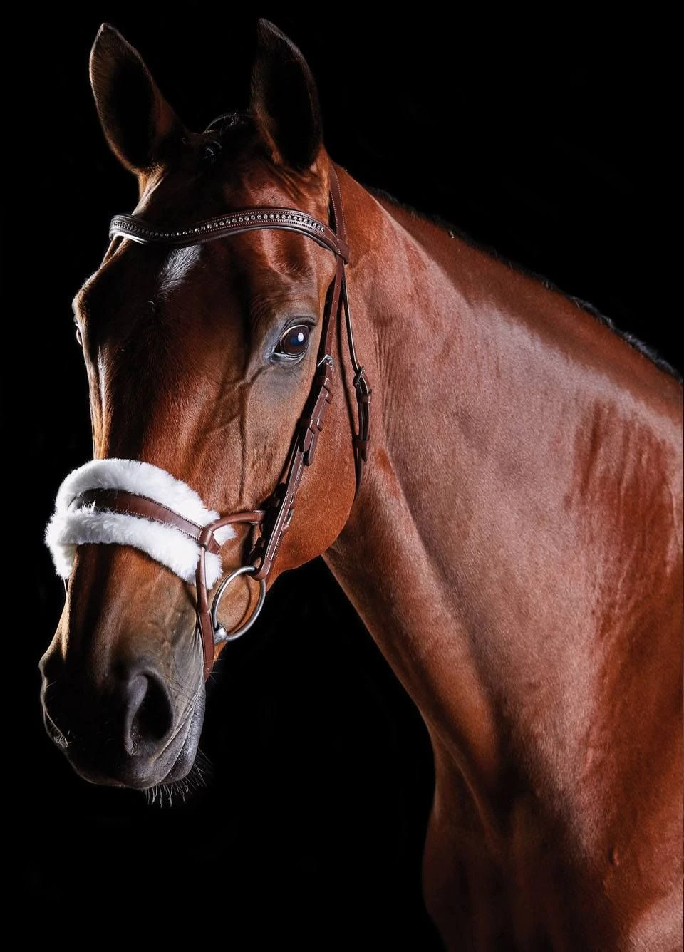 Collegiate ComFiTec Sheepskin Bridle - Brown 3 Collegiate ComFiTec Sheepskin Bridle - Brown