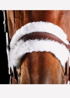 Collegiate ComFiTec Sheepskin Bridle - Brown 7 Collegiate ComFiTec Sheepskin Bridle - Brown -Equestrian Elegance brownsheep3