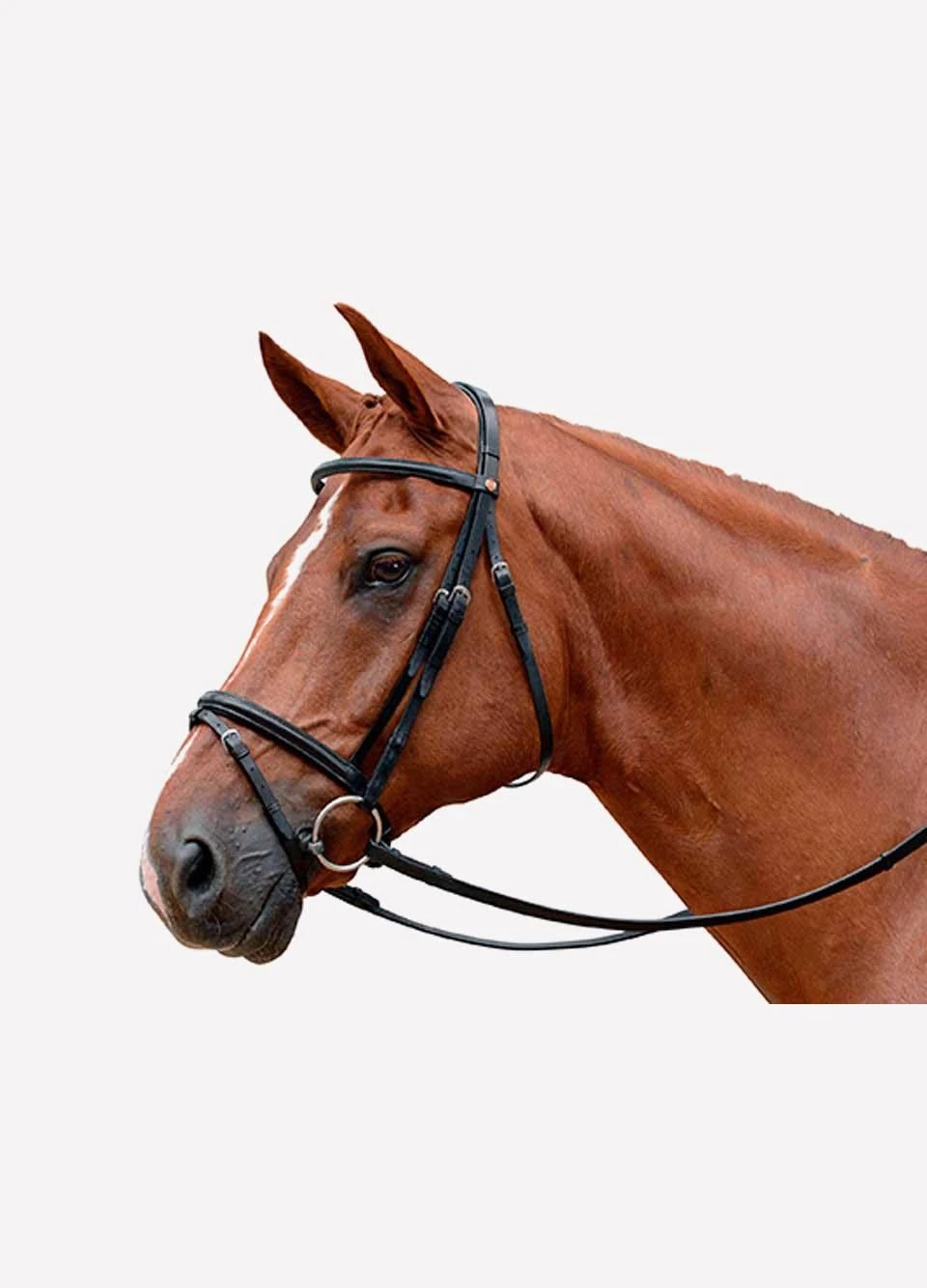 Albion KB Competition Flash Bridle - Black 3 Albion KB Competition Flash Bridle - Black