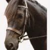Sabre Eton Snaffle Bridle - Havana 1 Sabre Eton Snaffle Bridle - Havana -Equestrian Elegance fm 2012 02 14 08 12 27 30654