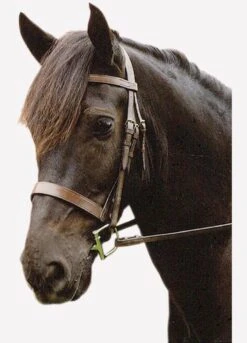 Sabre Eton Snaffle Bridle - Havana