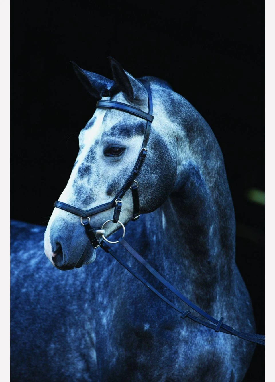 Rambo Micklem Competition Bridle - Black 4 Rambo Micklem Competition Bridle - Black - Image 2