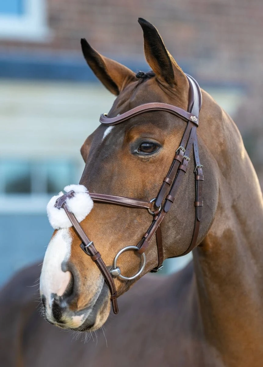 LeMieux Arika Grackle Bridle - Havana/Silver 3 LeMieux Arika Grackle Bridle - Havana/Silver