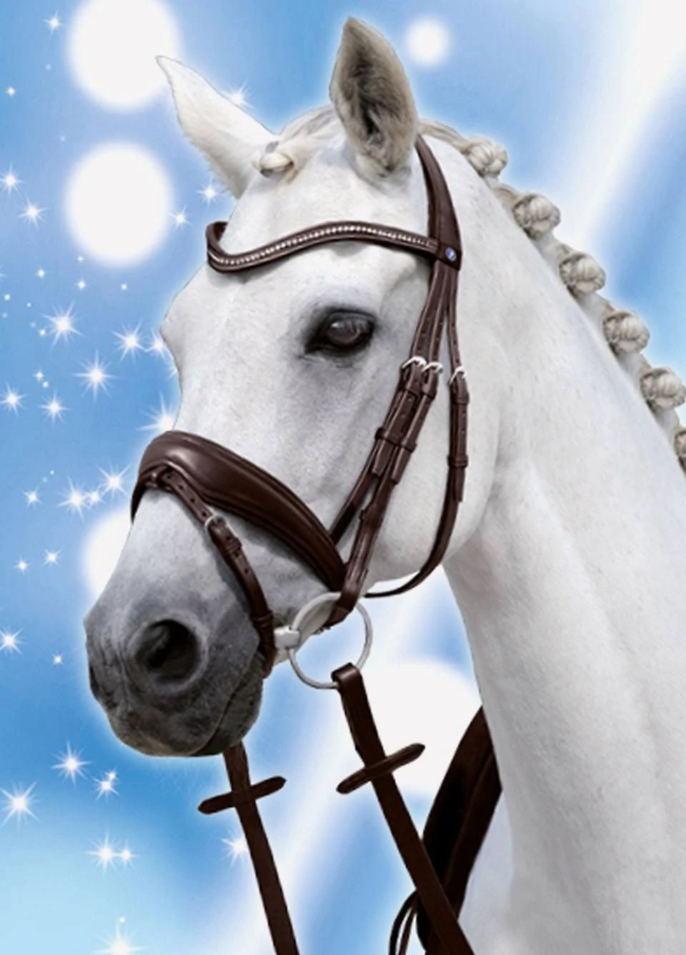 Passierblu Spirit Snaffle Bridle - Black 4 Passierblu Spirit Snaffle Bridle - Black - Image 2