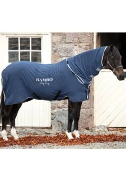 Front Page 26 Rambo Dry Rug - Navy