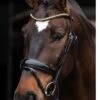 Schockemohle Stanton Select Flash Bridle - Black/Orange 1 Schockemohle Stanton Select Flash Bridle - Black/Orange -Equestrian Elegance schockestantonselectblack2rdy