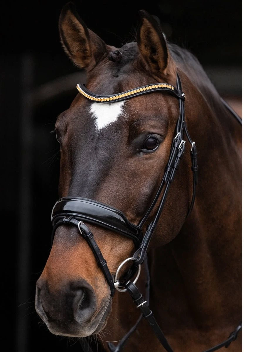 Schockemohle Stanton Select Flash Bridle - Black/Orange 3 Schockemohle Stanton Select Flash Bridle - Black/Orange
