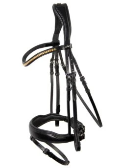 Schockemohle Stanton Select Flash Bridle - Black/Orange 5 Schockemohle Stanton Select Flash Bridle - Black/Orange -Equestrian Elegance schockestantonselectblackrdy