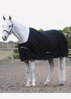 Front Page -Equestrian Elegance shamrockpowerblk2rdy