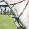 Shires Avignon Breastplate - Havana 1 Shires Avignon Breastplate - Havana -Equestrian Elegance shires avignon breastplate havana 1rdy