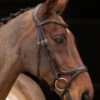 Shires Velociti Rapida Comfort Flash Bridle - Havana 1 Shires Velociti Rapida Comfort Flash Bridle - Havana -Equestrian Elegance shires comfort flash havana 1rdy