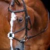 Shires Velociti RAPIDA Grackle Bridle - Black 1 Shires Velociti RAPIDA Grackle Bridle - Black -Equestrian Elegance shires grackle bridle black 1rdy