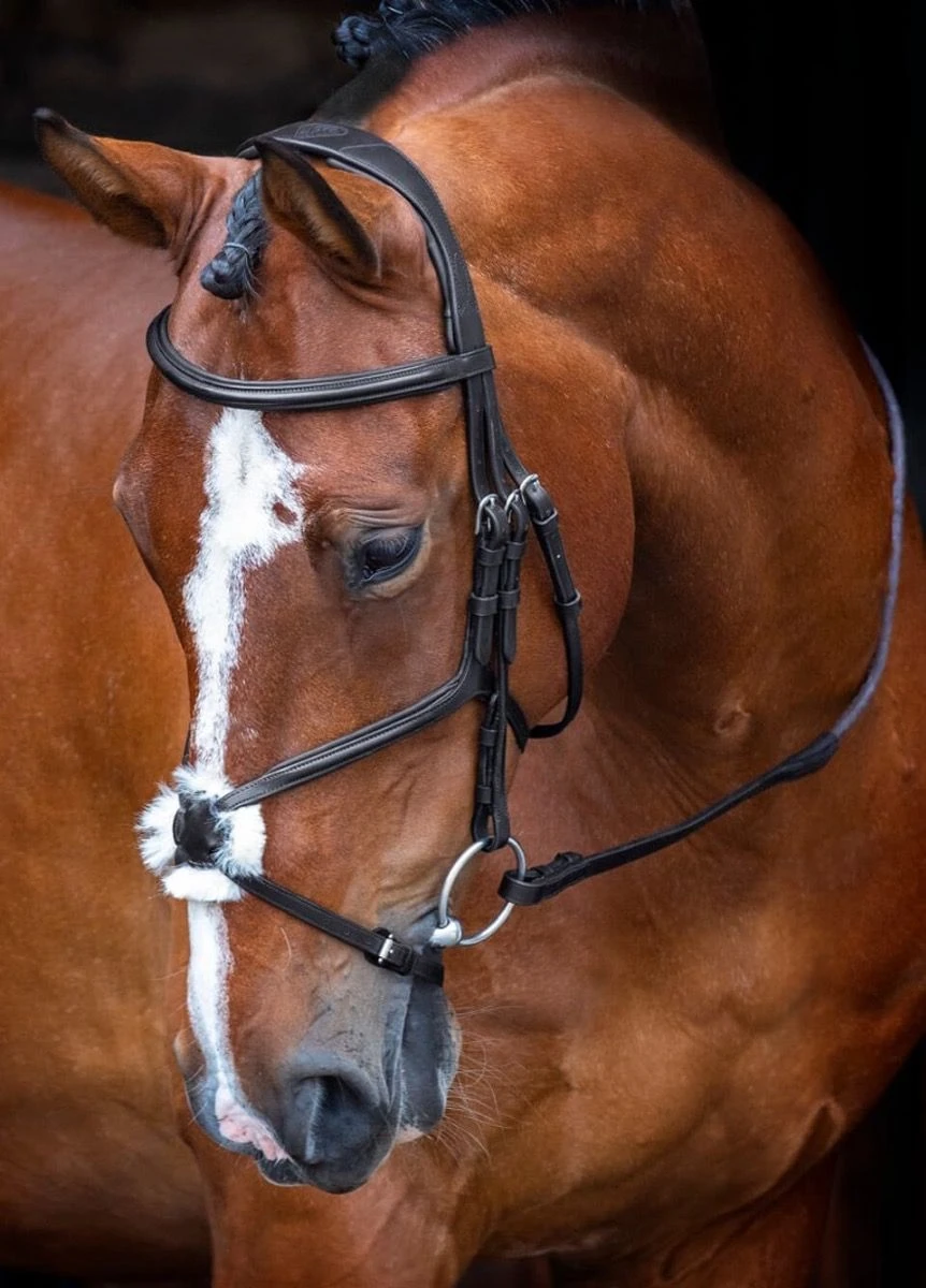 Shires Velociti RAPIDA Grackle Bridle - Black 3 Shires Velociti RAPIDA Grackle Bridle - Black