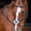 Shires Velociti RAPIDA Grackle Bridle - Havana -Equestrian Elegance shires grackle havana 1rdy