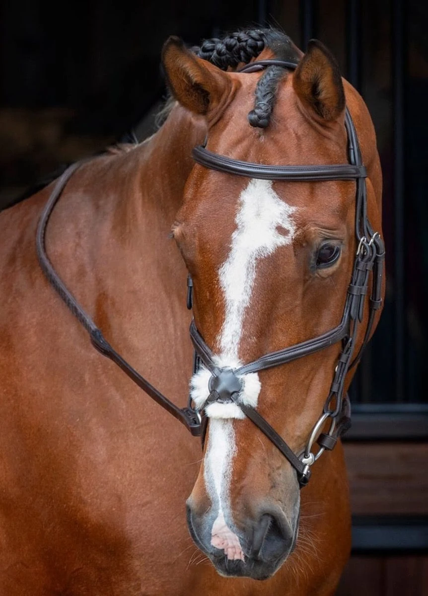 Shires Velociti RAPIDA Grackle Bridle - Havana 3 Shires Velociti RAPIDA Grackle Bridle - Havana