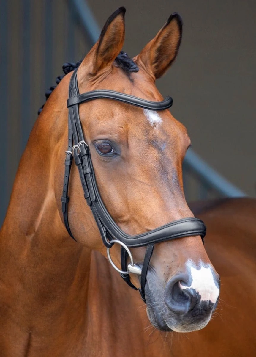 Shires Lusso Curved Flash Bridle - Black 3 Shires Lusso Curved Flash Bridle - Black