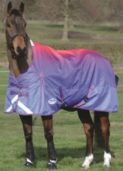 Front Page 45 Weatherbeeta ComFiTec Plus Dynamic Standard Neck Lite Turnout Rug - Purple Ombre